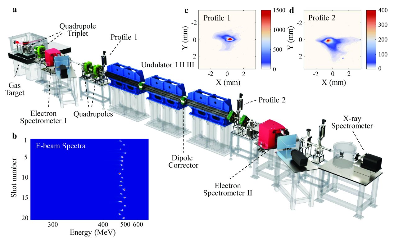 上海光机所小型化自由电子激光研究取得突破性进展